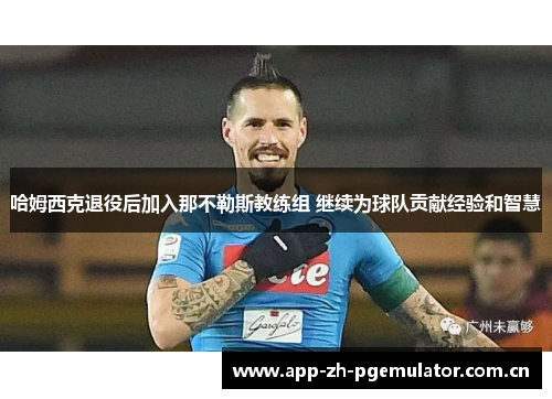 哈姆西克退役后加入那不勒斯教练组 继续为球队贡献经验和智慧 哈姆西克退役后加入那不勒斯教练组 继续为球队贡献经验和智慧